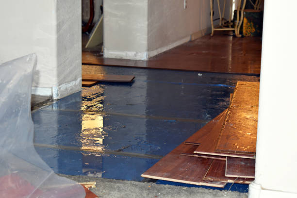 Professional Burst Pipe Cleanup technician working in South River, NM